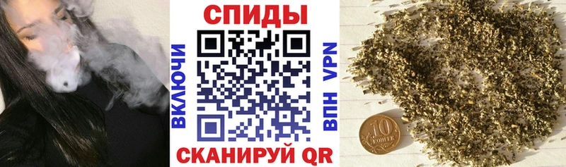 Купить где  Бакал  Бутират буратино 