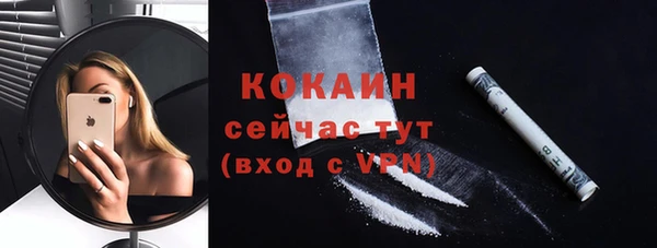 ПСИЛОЦИБИНОВЫЕ ГРИБЫ Богданович