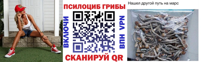 Купить где Бакал Псилоцибиновые грибы Psilocybine cubensis